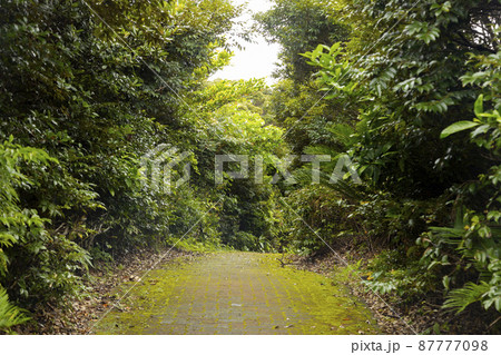 奄美大島北部 蒲生崎観光公園 奄美大島北部 蒲生崎観光公園 87777098