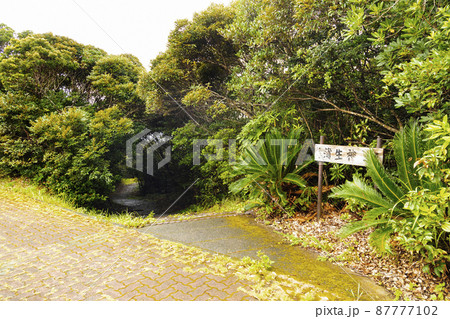 蒲生神社 87777102