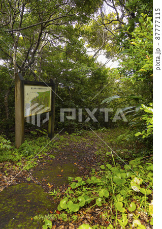 奄美大島北部　蒲生崎観光公園 87777115
