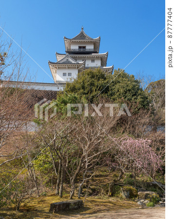 掛川城二の丸,からの天守 掛川城二の丸,からの天守 87777404