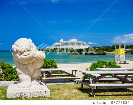 沖縄シーサー 87777884