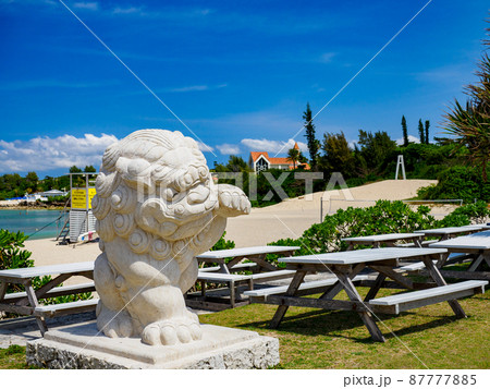 沖縄シーサー 87777885