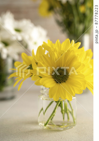 Yellow chrysanthemum flower bouquet in vase. Spring composition with daisy flowers. Yellow chrysanthemum flower bouquet in vase. Spring composition with daisy flowers. 87778223