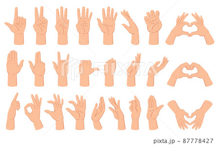 Cartoon hands gesture, hand poses, thumb up and counting gestures. Human hand gestures, count and crossed fingers vector illustration set. Hand gesture communication Cartoon hands gesture, hand poses, thumb up and counting gestures. Human hand gestures, count and crossed fingers vector illustration set. Hand gesture communication 87778427