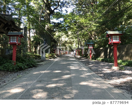 高尾山 女坂 高尾山 女坂 87779694