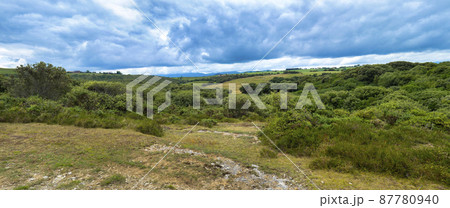 Coastline View, Oyambre Natural Park, Cantabria, Spain Coastline View, Oyambre Natural Park, Cantabria, Spain 87780940