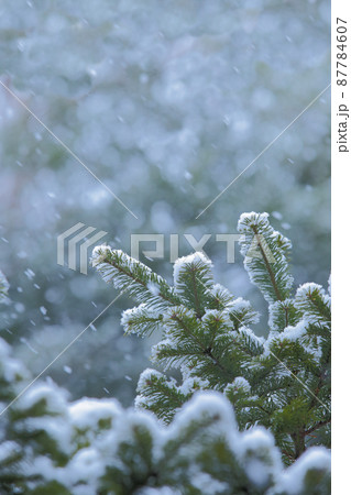 雪景色 雪 冬景色 降雪 雪景色 雪 冬景色 降雪 87784607