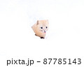 冬のエゾクロテン 87785143