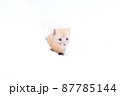 冬のエゾクロテン 87785144