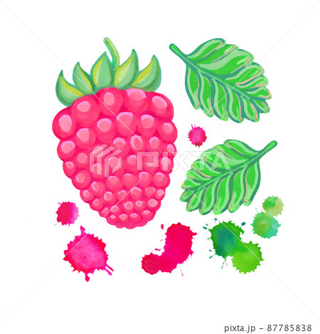 Hand painted raspberry 87785838