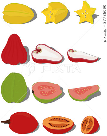 Whole exotic tropical fruits with pieces and slices vector illustration 87786090