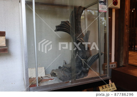 犬山　犬山城 87786296