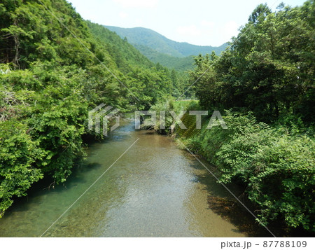 大紀町の梅ヶ谷川 87788109
