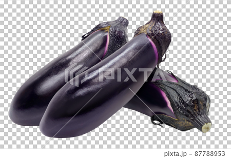 Eggplant eggplant illustration real set 87788953