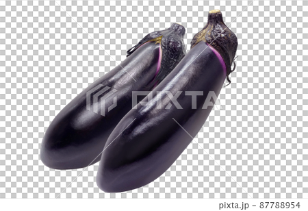 Eggplant eggplant illustration real set Eggplant eggplant illustration real set 87788954