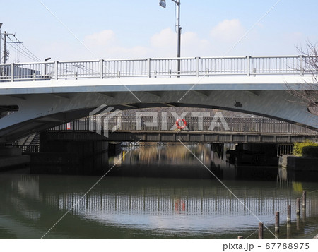 新川千本桜　江戸川区新川 87788975