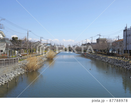 新川千本桜　江戸川区新川 87788978
