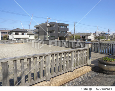 新川千本桜　江戸川区新川 87788984