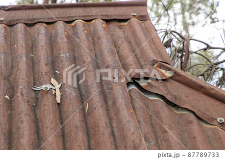 Photograph of an old and damaged rusty roof on a shelter in The Blue Mountains in Australia 87789733