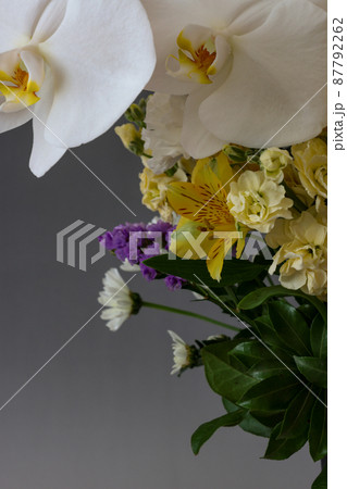 グレー背景の様々な花 グレー背景の様々な花 87792262