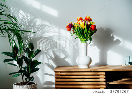 Scandinavian home interior with spring colorful bouquet of tulip flowers in ceramic vase standing on a wooden cabinet. Minimalist design with green plants and white wall. Biophilia style. Springtime. 87792267