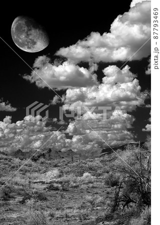 Desert Moon 87793469