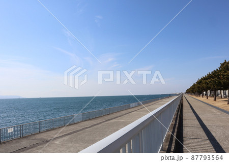 青空と雲と青い海面の海と島と船と真っ直ぐ続く遊歩道と松林のある海岸公園の風景 青空と雲と青い海面の海と島と船と真っ直ぐ続く遊歩道と松林のある海岸公園の風景 87793564
