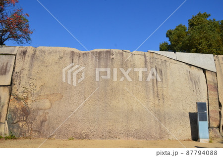 桜門枡形の巨石「蛸石」（大阪城公園／大阪市中央区） 87794088