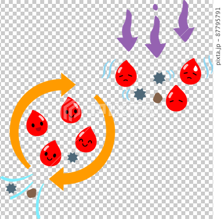 Image of good or bad blood circulation 87795791