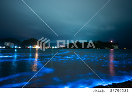 光海 87796581
