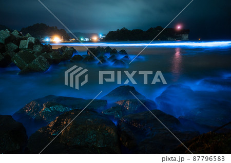 光海 光海 87796583