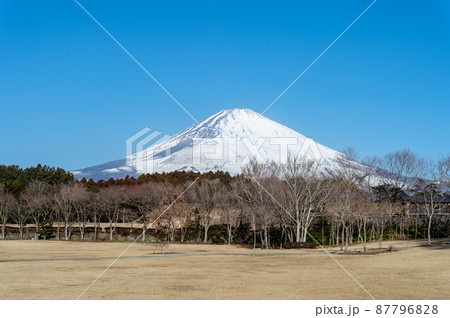 富士山が見えるキャンプ場 富士山が見えるキャンプ場 87796828