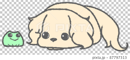 Dachshund (gray) staring down at the frog Dachshund (gray) staring down at the frog 87797313