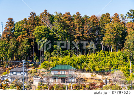 陽当たりが良い里山で暮らす 87797629