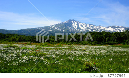 鳥海山　桑ノ木台湿原 87797965