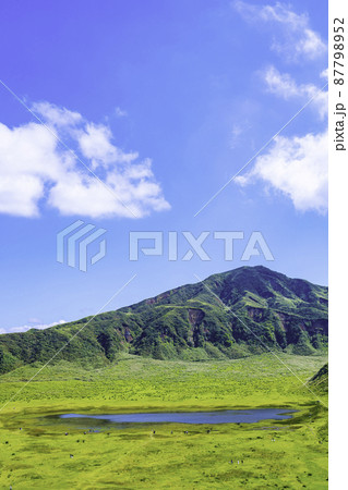 阿蘇を代表する観光地　美しい草千里ヶ浜（熊本県阿蘇市） 87798952