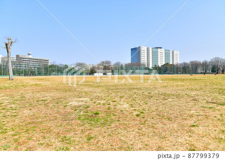 武蔵野中央公園／原っぱ広場(東京都武蔵野市)【2022.3】 87799379