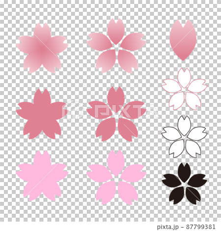 Sakura with five pink and black petals Sakura with five pink and black petals 87799381
