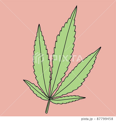simplicity cannabis leaf freehand drawing flat design. 87799458
