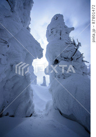 厳冬期の樹氷　森吉山樹氷平　秋田県 87801472