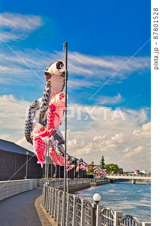 五月晴れの青空を元気に泳ぐ鯉のぼり 五月晴れの青空を元気に泳ぐ鯉のぼり 87801528