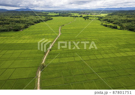 top view Terraced rice field at Chiangmai Northern Thailand 87801751