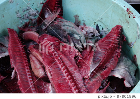 カツオのアラ 87801996