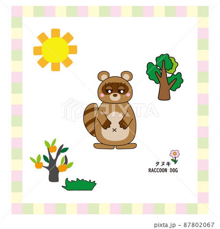 かわいい動物シリーズ かわいい狸のイラスト カラフルのイラスト素材