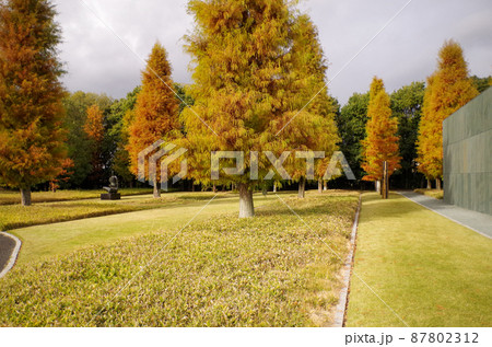 豊田市美術館 87802312