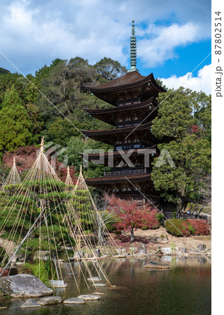 山口県山口市の国宝　瑠璃光寺五重塔 87802514