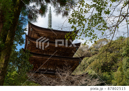 山口県山口市の国宝 瑠璃光寺五重塔 山口県山口市の国宝 瑠璃光寺五重塔 87802515