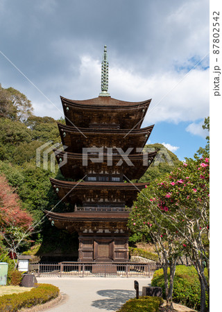 山口県山口市の国宝　瑠璃光寺五重塔 87802542