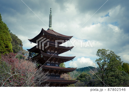 山口県山口市の国宝　瑠璃光寺五重塔 87802546