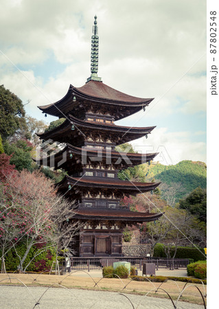 山口県山口市の国宝　瑠璃光寺五重塔 87802548